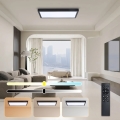Brilagi - LED hämardatav vannitoa laevalgusti FRAME SMART LED/30W/230V 30x60 cm 3000-6000K IP44 must + kaugjuhtimispult