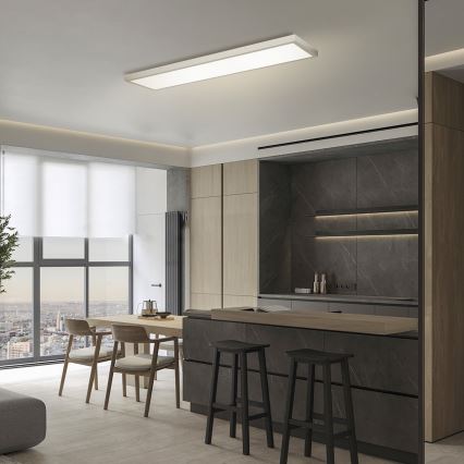 Brilagi - hämardatav LED-vannitoa laevalgusti FRAME SMART LED/50W/230V 120x30 cm 3000-6000K IP44 hõbedane + kaugjuhtimispult