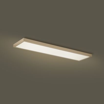 Brilagi - hämardatav LED-vannitoa laevalgusti FRAME SMART LED/50W/230V 120x30 cm 3000-6000K IP44 beež + kaugjuhtimispult