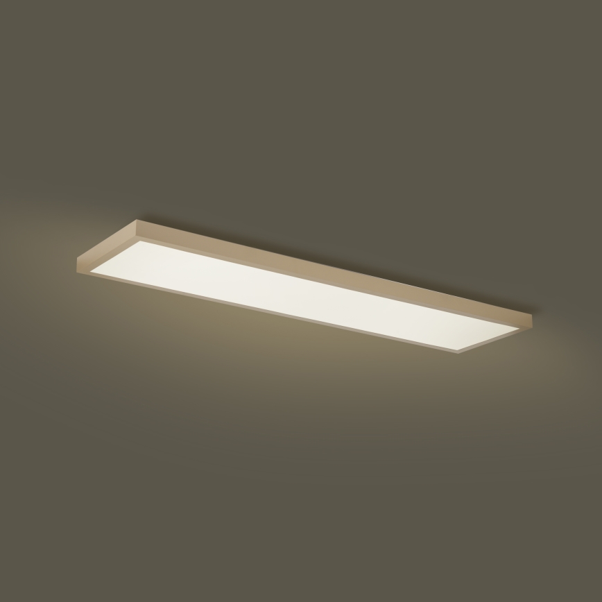 Brilagi - hämardatav LED-vannitoa laevalgusti FRAME SMART LED/50W/230V 120x30 cm 3000-6000K IP44 beež + kaugjuhtimispult