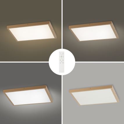 Brilagi - LED hämardatav vannitoa laelamp FRAME SMART LED/50W/230V 60x60 cm 3000-6000K IP44 beež + kaugjuhtimispult