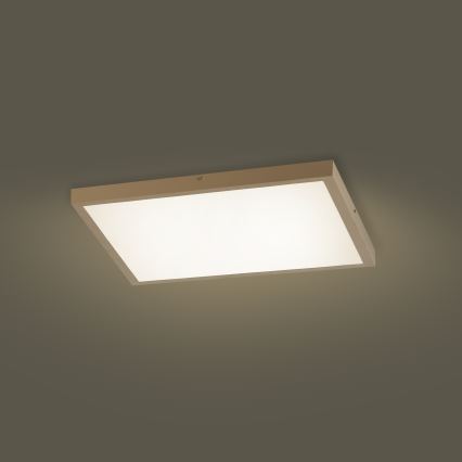 Brilagi - LED hämardatav vannitoa laelamp FRAME SMART LED/50W/230V 60x60 cm 3000-6000K IP44 beež + kaugjuhtimispult