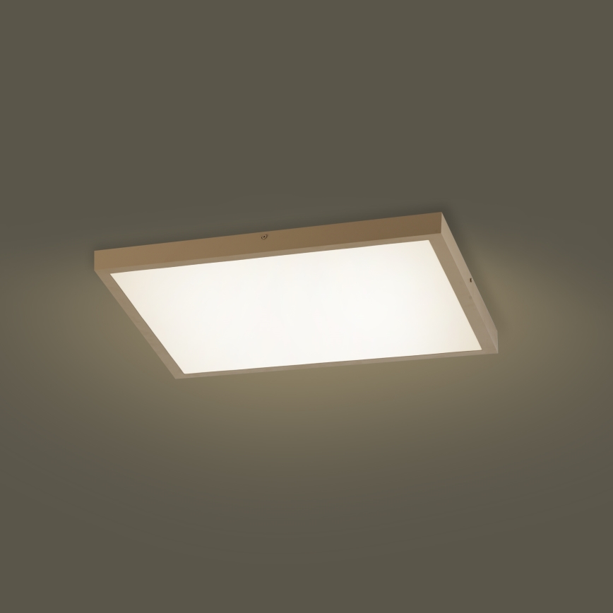 Brilagi - LED hämardatav vannitoa laelamp FRAME SMART LED/50W/230V 60x60 cm 3000-6000K IP44 beež + kaugjuhtimispult