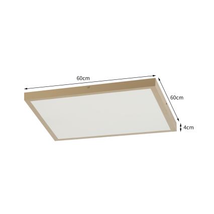 Brilagi - LED hämardatav vannitoa laelamp FRAME SMART LED/50W/230V 60x60 cm 3000-6000K IP44 beež + kaugjuhtimispult