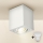 Brilagi - LED Kohtvalgusti MIA 1xGU10/30W/230V 100x80 mm valge