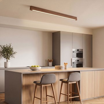 BRILAGI - LED lae pealepandav valgusti GARDALINE LED/90W/230V 120 cm tamm