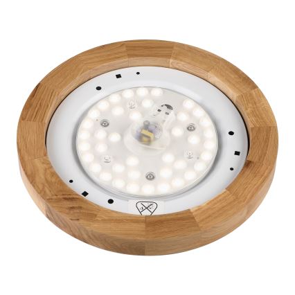Brilagi - LED Laelamp BELLADONNA LED/20W/230V Ø 30 cm valge/ tamm