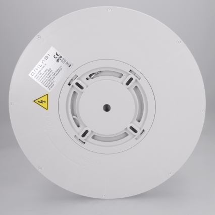 Brilagi - LED laelamp ESTELA LED/18W/230V, läbimõõt 30 cm, valge