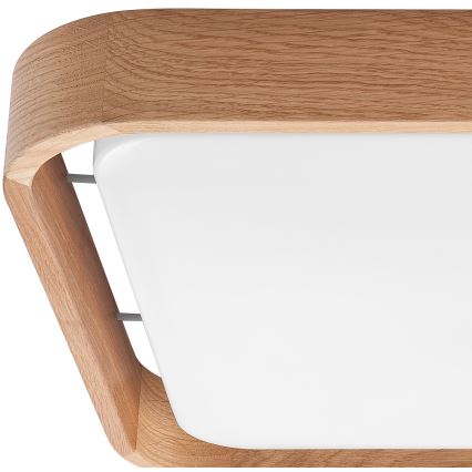 Brilagi - LED hämardatav laevalgusti MANAROLA CUBIC LED/24W/230V 45x45 cm 3000-6500K tamm + kaugjuhtimispult