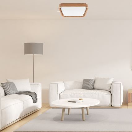 Brilagi - LED reguleeritav laelamp MANAROLA CUBIC LED/24W/230V 3000-6500K tamm + kaugjuhtimispult