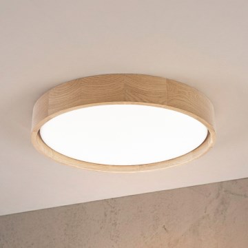 Brilagi - LED laelamp MANAROLA PLAIN LED/24W/230V 4000K Ø 41 cm tamm