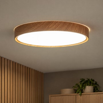 BRILAGI - LED laelamp NATURA LED/24W/230V 4000K läbimõõt 38,3 cm
