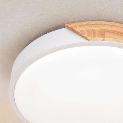 Brilagi - LED laelamp PILANA LED/24W/230V tamm/valge läbimõõt 30 cm