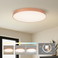 BRILAGI - LED laelamp POOL LED/100W/230V 3000/4000/6000K läbimõõt 80 cm pronksviimistlus