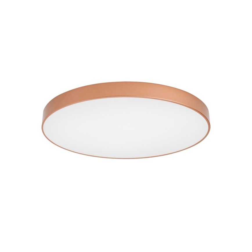 BRILAGI - LED laevalgusti POOL LED/100W/230V 3000/4000/6000K läbimõõt 80 cm vaskne