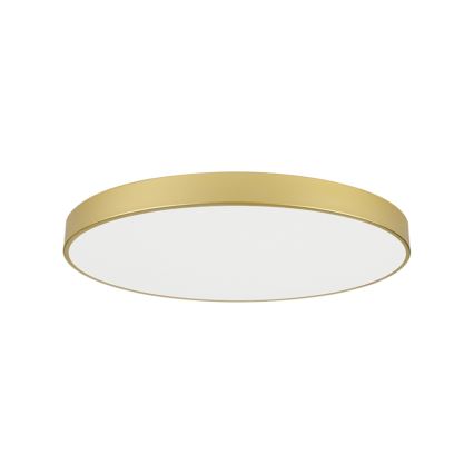 Brilagi - LED laevalgusti POOL LED/128W/230V 3000/4000/6000K läbimõõt 100 cm kuldne