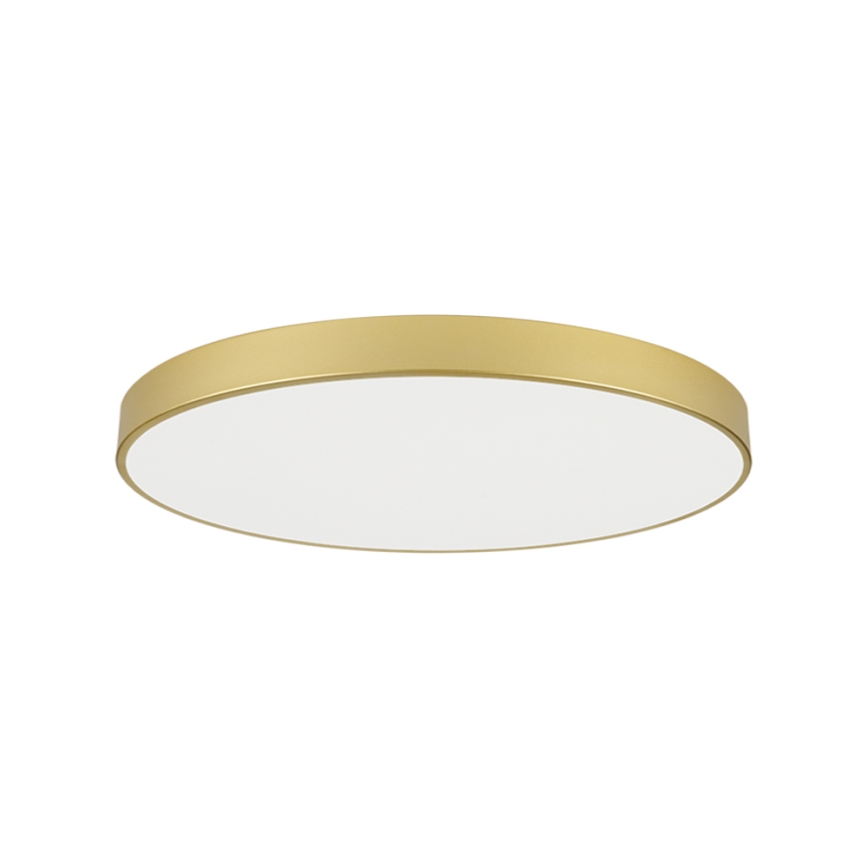 Brilagi - LED laevalgusti POOL LED/128W/230V 3000/4000/6000K läbimõõt 100 cm kuldne