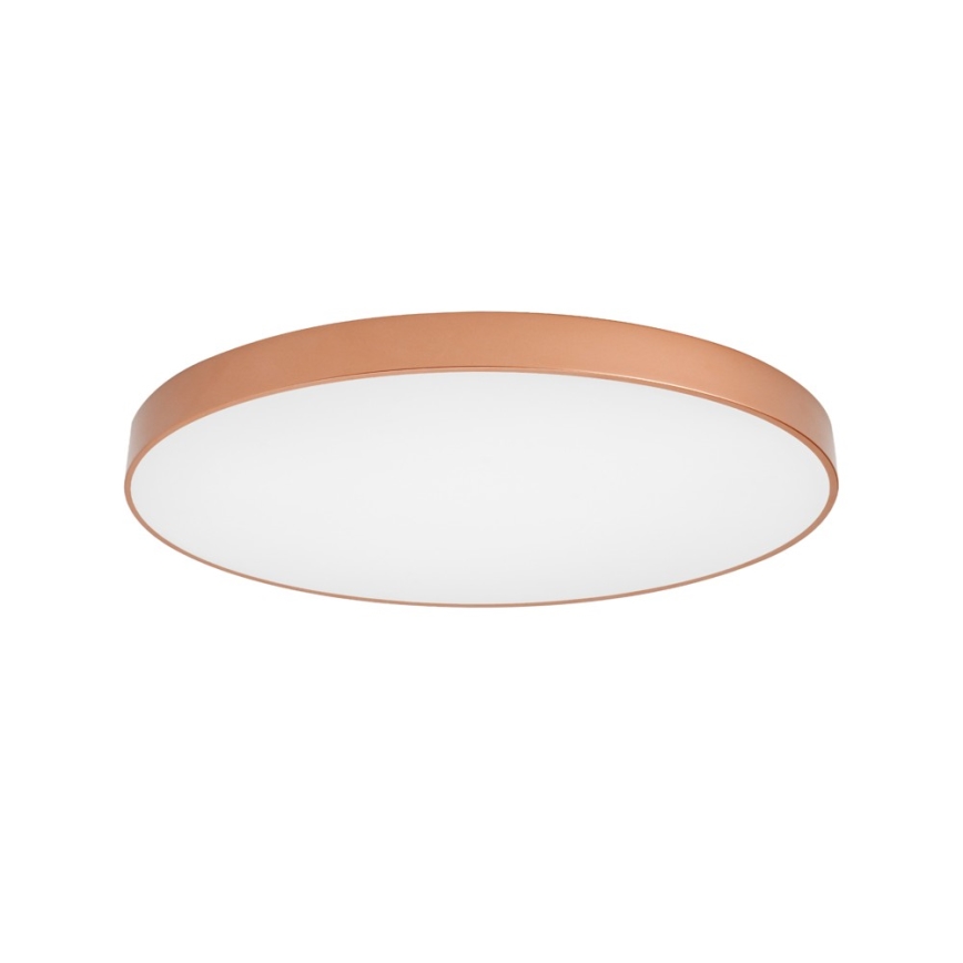 BRILAGI - LED-laelamp POOL LED/128W/230V 3000/4000/6000K läbimõõt 100 cm vaskne