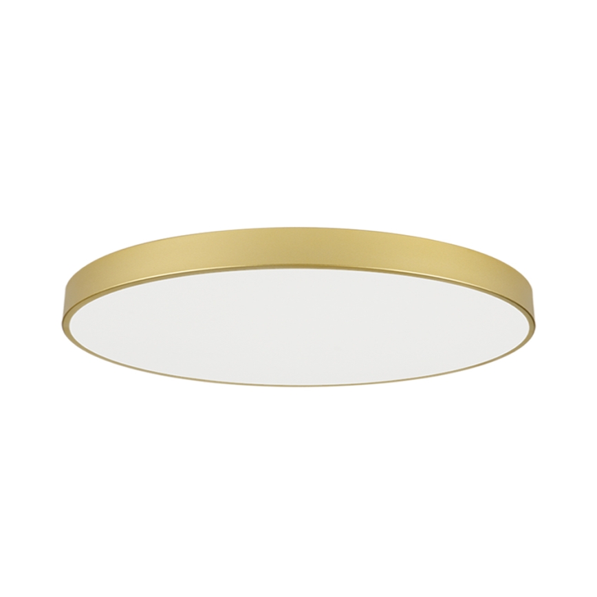 Brilagi - LED laelamp POOL LED/180 W/230 V 3000/4500/6000K Ø 120 cm kuldne