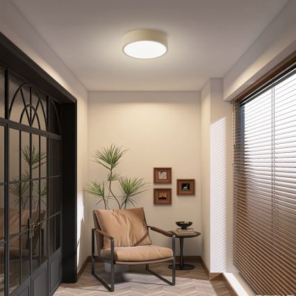 Brilagi - LED laevalgusti POOL LED/18W/230V 3000/4500/6000K läbimõõt 20 cm, beež