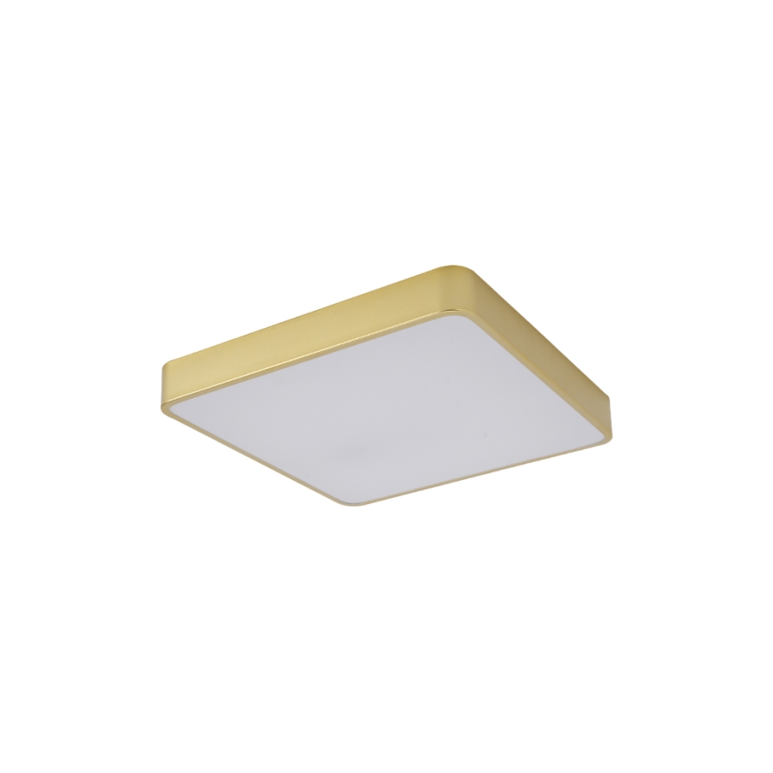 Brilagi - LED laelamp POOL LED/36W/230V 3000/4000/6000K 40x40 cm kuldne