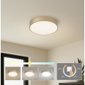BRILAGI - LED laelamp POOL LED/36W/230V 3000/4000/6000K läbimõõt 30 cm kuldne