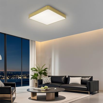 Brilagi - LED laelamp POOL LED/48W/230V 3000/4500/6000K 50x50 cm kuldne