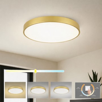 Brilagi - LED laelamp POOL LED/60W/230V 3000/4000/6000K, läbimõõt 60 cm, kuldne