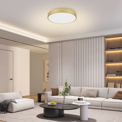 Brilagi - LED laelamp POOL LED/60W/230V 3000/4000/6000K, läbimõõt 60 cm, kuldne