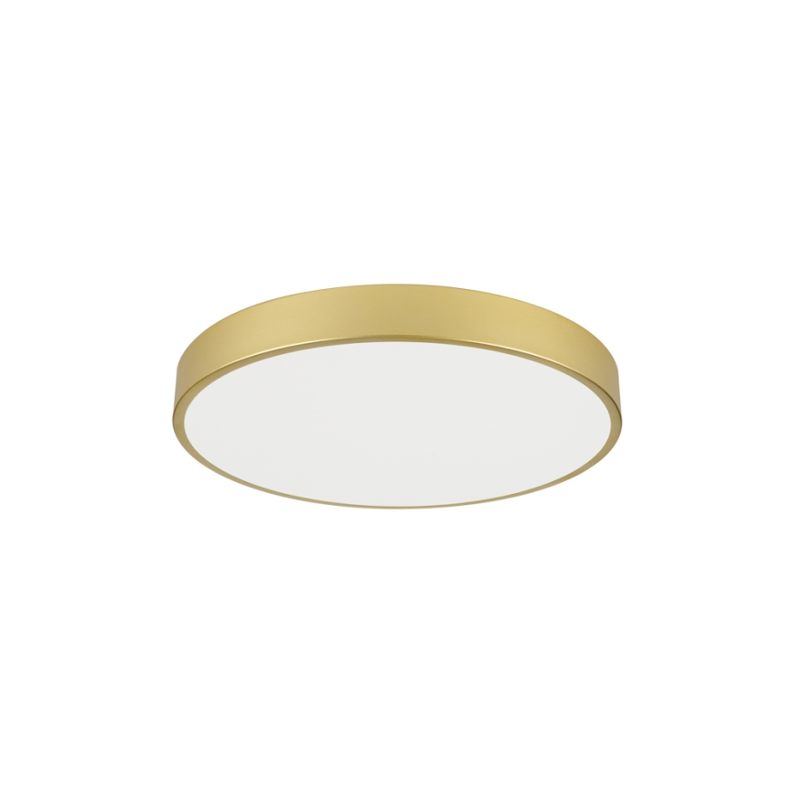 Brilagi - LED laelamp POOL LED/60W/230V 3000/4000/6000K, läbimõõt 60 cm, kuldne