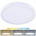 Brilagi - LED laelamp POOL LED/60W/230V 3000/4500/6000K 50 cm valge