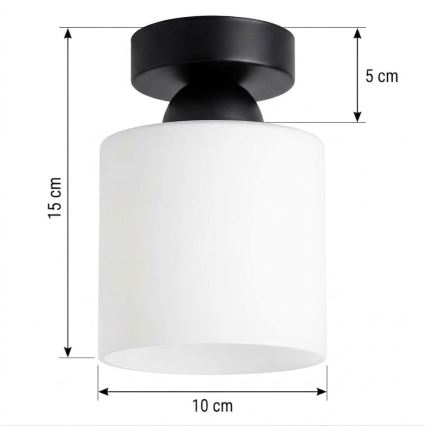 BRILAGI - LED laelamp RETRO GLASS 1xE27/60W/230V läbimõõt 10 cm must/valge