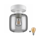 BRILAGI - LED laelamp RETRO GLASS 1xE27/60W/230V läbimõõt 14 cm valge/suitsuhall