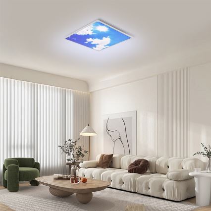 Brilagi - LED laelamp SLIMFRAME SKY LED/58W/230V 60x60 cm hõbedane/sinine
