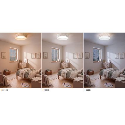Brilagi - LED-laelamp VELVET VARI LED/24W/230V 3000/4000/6500K läbimõõt 45 cm valge/lilled