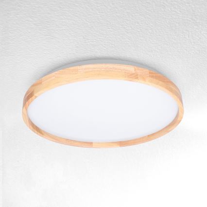 Brilagi - LED Laevalgusti ALSON LED/24W/230V tamm