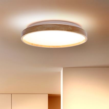 Brilagi - LED Laevalgusti ALSON LED/24W/230V tamm