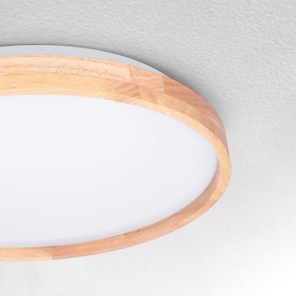 Brilagi - LED Laevalgusti ALSON LED/24W/230V tamm