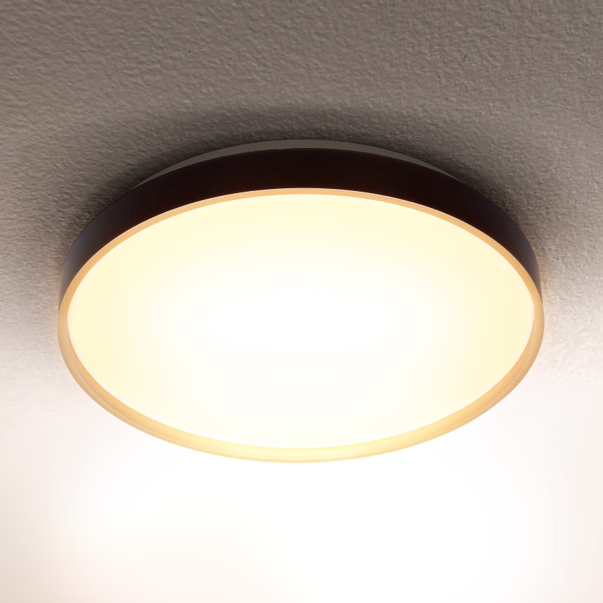 Brilagi - LED Laevalgusti CALA LED/24W/230V