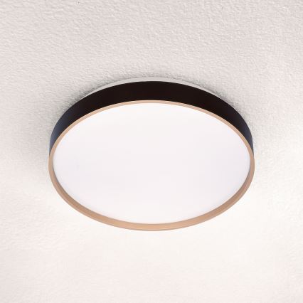 Brilagi - LED Laevalgusti CALA LED/24W/230V
