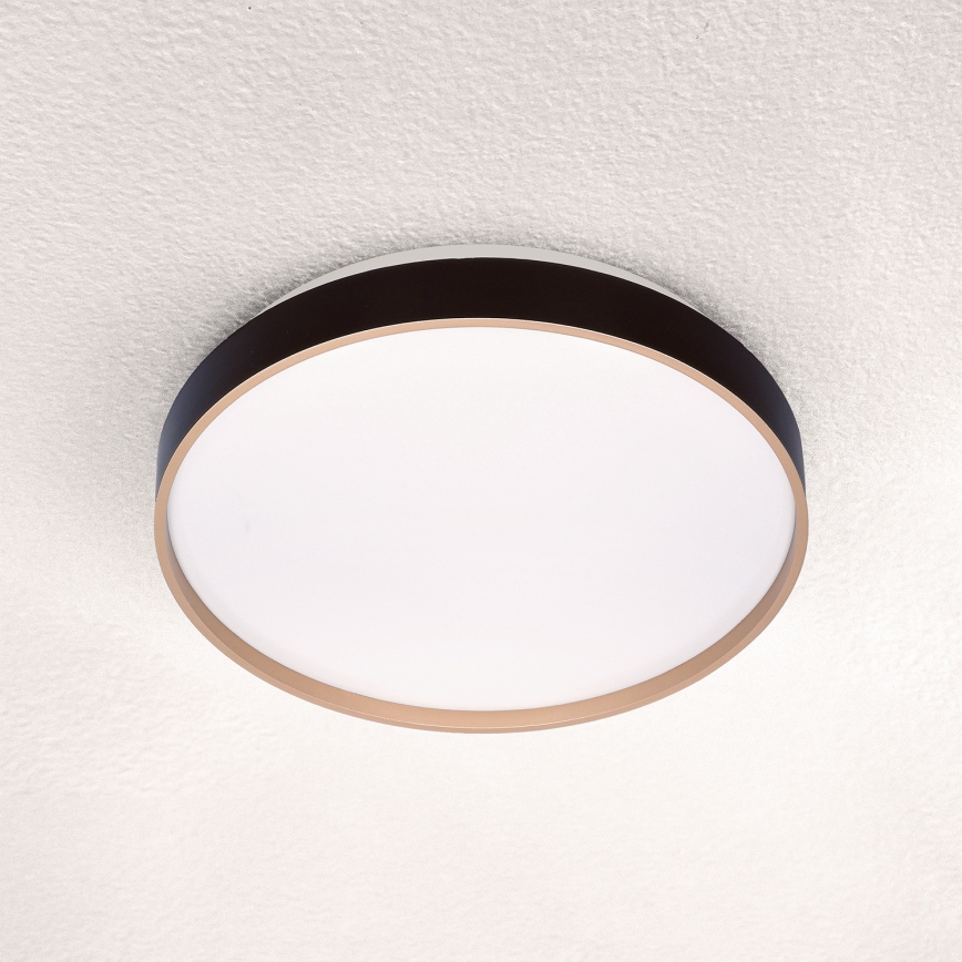 Brilagi - LED Laevalgusti CALA LED/24W/230V