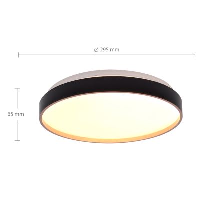 Brilagi - LED Laevalgusti CALA LED/24W/230V