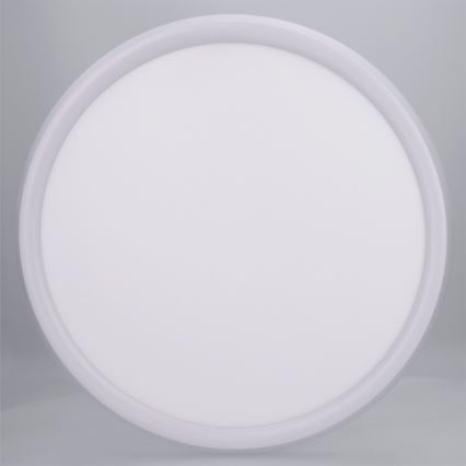 Brilagi - LED laevalgusti CARLOS LED/24W/230V, läbimõõt 40 cm, valge