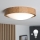 Brilagi - LED Laevalgusti CARVALHO SLIM 1xE27/60W/230V tamm d. 27 cm