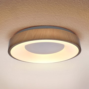 Brilagi - LED Laevalgusti DORIA LED/24W/230V