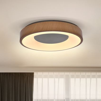Brilagi - LED Laevalgusti DORIA LED/24W/230V