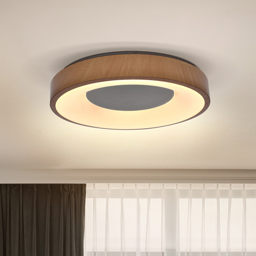 Brilagi - LED Laevalgusti DORIA LED/24W/230V