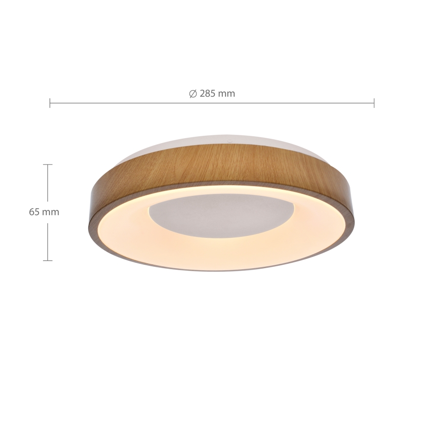 Brilagi - LED Laevalgusti DORIA LED/24W/230V