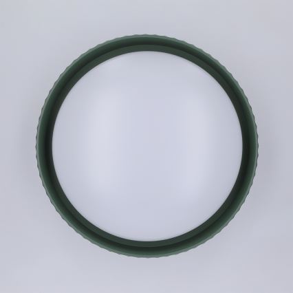 Brilagi - LED laevalgusti LUCIA LED/24W/230V Ø 31 cm roheline