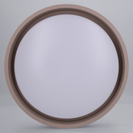 Brilagi - LED laevalgusti MATTEO LED/24W/230V läbimõõt 31 cm tuhkjaspruun